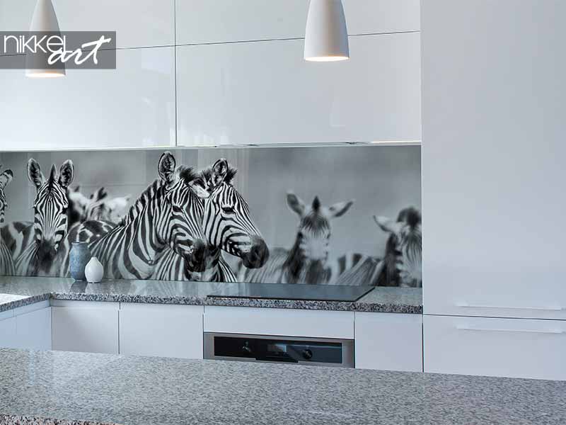  Küchenrückwand glas motiv mit Zebrafamilie 