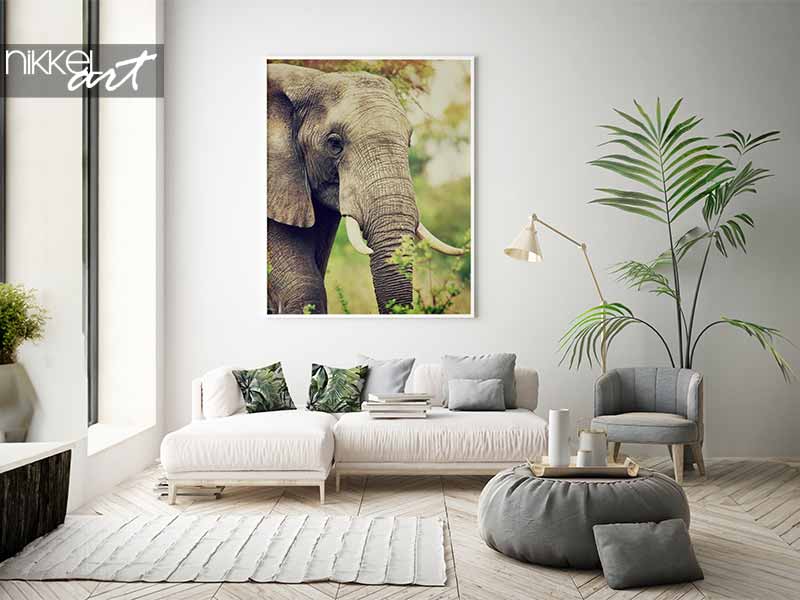  Ingelijste posters Portret van een wilde olifant